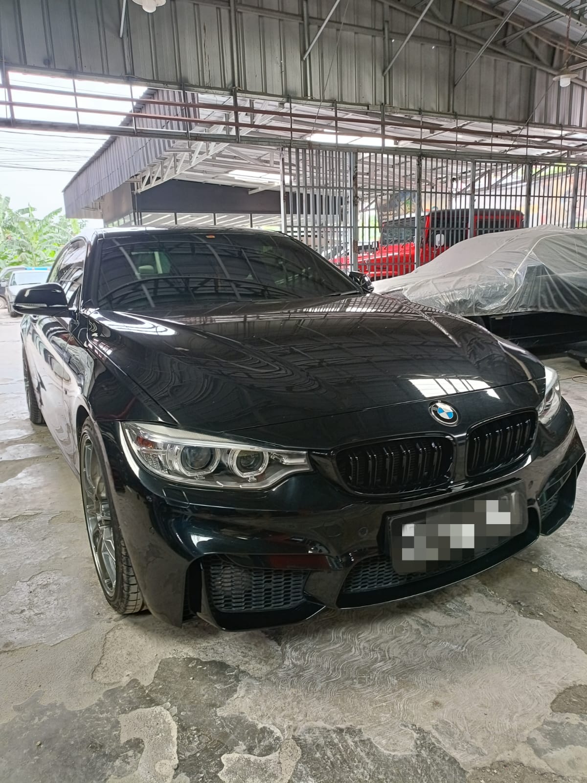 Cat & Body Repair WhatsApp Image 2024-10-16 at 11.29.20_55b40cdf.jpg